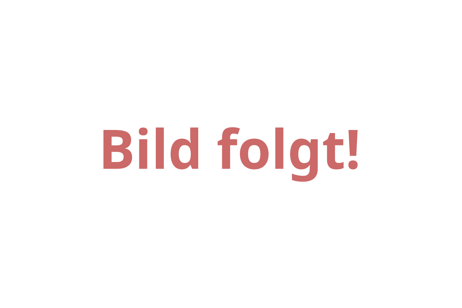 Galerie Bild 4